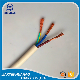  3X2.5mm2 CCA Conductor Flexible Electric/Electrical Wire with SGS Approved