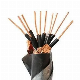 Copper Conductor XLPE or PVC or PE Insulated Control Cable