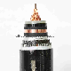  26/5kv Single Core XLPE Insulated Steel Wire Armoured Power Cable Yjv32, Yjlv 32 Cable