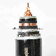 26/5kv Single Core XLPE Insulated Steel Wire Armoured Power Cable Yjv32, Yjlv 32 Cable