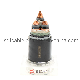 0.6/1kv Low Voltage Copper Conductor XLPE Insulated Steel Tape Armored Power Cable