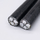  0.6/1kv Electric Aluminum Conductor PVC/XLPE/PE Insulated PVC Sheathed Low/Medium Voltag Electrical Power Cable