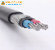  0.6/1kv Aluminum Conductor XLPE Insulated 2X8 AWG Concentric Cable