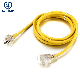 a Leading Factory with ISO9001: 2000 Certified of International Standard Power Extension Cord Set with UL, CCC, VDE, Bsi, PSE, Ket, Sev, SAA, Imq, Iram, Ke