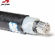 0.6/1kv XLPE/PVC Insulated Copper/Aluminum Armoured Electrical Power Cable