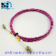 FTTH Om4 Sc-Sc Duplex Fiber Optic Patchcord manufacturer