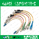 Fiber Optic Cable Patch Cord with Sc/FC/LC/St/E2000/Mu/MTRJ Connector