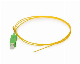 Sc/APC Singlemode Simplex Fiber Optic Pigtail