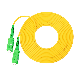 Sc APC Sm Simplex Fiber Optic Patch Cord