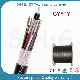  Factory Price CE RoHS 12/24/36/48/60/72/96/144 Fibers GYFTY Outdoor Fiber Optic Cable (GYFTY)