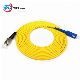 Single Mode 9/125 Simplex/Duplex Fiber Patchcords with Sc/St/LC/FC/E2000 Connectors