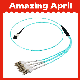  MTP/MPO-LC Sm Round Cable Fanout Optical Fiber Patch Cable