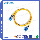  Manufacturer Fiber Optic Patch Cord Sc/Upc-Sc/Upc Single Mode Duplex