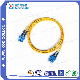 Manufacturer Fiber Optic Patch Cord Sc/Upc-Sc/Upc Single Mode Duplex