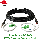 2 Cores Outdoor Singlemode Sc/LC/St/FC Fiber Optic Waterproof Pigtail