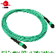 MPO Singlemode Multimode Fiber Optic Patch Cord