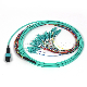  8 12 24 Cores MPO to LC Multimode LSZH Fanout Breakout Optical Fiber Patchcord Patch Cable