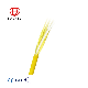 Indoor Multi-Core Round Tight Buffered Fiber Optic Cable