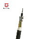 Outdoor Central Tube 6f 8f 12f 24f Steel Wire Armored PE Jacket GYXTY Underground Armor Fiber Optic Cable