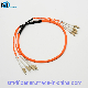 Multimode 4 Core LC/Upc-LC/Upc 2.0mm Branch Fiber Optic Cable manufacturer