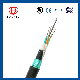  Armored Fiber Optic Cable of High Quality GYTY53