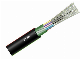  Optic Fiber Cable GYTS 4 6 8 12 24 48 96 144 288 Core Single Mode Fiber Optic Cable