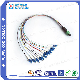  12 Colored 0.9mm Fiber Optical Cable with MPO and LC Fanout Connectors