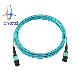 Professional Manufacturer 1 Meter 12 Cores Fiber Optic Patchcord Om3-300 Female MPO Fiber Optic Patchcord