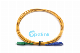  Sm G657A1 Simplex Sc/Upc-Sc/APC Fiber Optic Patchcord 5m - Enhance Connectivity