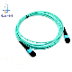  High Density Om3 Om4 Multimode MTP/MPO Fiber Optic Patchcord