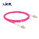  2.5g Patch Cord Fiber Multimode Sc-LC mm Dx