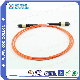  Shenzhen Manufacturer Competitive Fiber Optic Cable Patch Cord