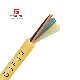 Fcj 6 Core Om3 300 GJFJV Indoor Fiber Optical Cable From China Factory