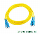 Basic Customization Connector Cable Single-Mode Fiber Optical Fiber Patch Cord Fiber Cord Jumper manufacturer