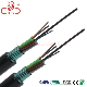 Computer Cable/ Data Cable/ Communication Cable GYTS Optical Cable manufacturer