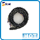 Manufacture Supplier Electrical Products Electric HDMI /DVI (PC) to Display Port (Monitor) Converter Cable for Computer