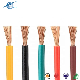 Car Wiring Electric Cable Avssx/Aessx Aex AV AVS Avss Cavs Cav Wire 0.5mm Automotive Wire Avss Cable