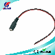  30cm 5.5*2.1mm DC Female Cables (pH6-1607)