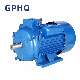 Gphq 0.75 1.5 2.2kw 1phase Squirrel Cage AC Asynchronous Induction Electric Motor