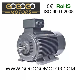  Ie3 Premium Efficiency Three-Phase Asynchronous Induction Cast Iron Electric Motor for Textile Machine