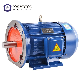  High Quality YE2 High Efficiency Three Phase Induction Motor