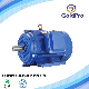 Anp Cast Iron Aluminum Body Y2 Y Ye2 Yc Yl Y3 0.12kw-350kw Asynchronous GOST Standard Three Single Phase Induction Copper Wire AC Electrical Electric Motor