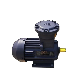 High Efficiency Speed Explosion and Flame Proof Electric Asynchronous Induction Electrical Motor