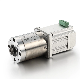 57mm Agv 24V High-Quality China Bg BLDC Mini Explosion-Proof 75W High Torque Low Rpm 4000rpm DC Planetary Gear Motor