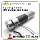 56mm Low Rpm DC Gear Motor