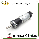  Wholesale 28mm Low Rpm High Torque DC Gearmotor