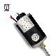 Permanent Magnet 120 Watt DC Brush Motors with Hall Sensor