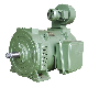 Zzj 800 1000kw Motor manufacturer