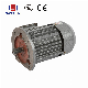 CE Three-Phase Asynchronous Motor, High Temperature Resistant, Noiseless, Customized Power