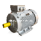 Ye4 Ie4 30kw High Efficiency Squirrel Cage Three Phase AC Asynchronous Induction Electric Motor